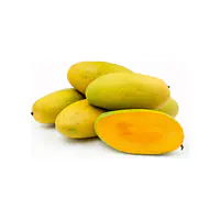 Mango Nawab Dushehri - Master