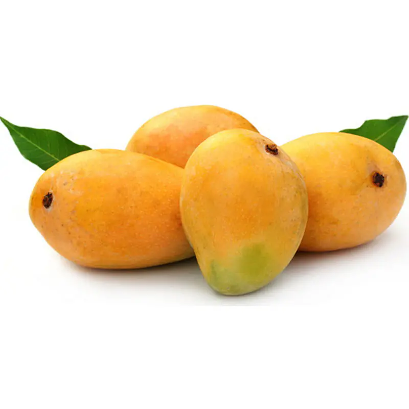 Mango Alphonso Per Kg. - Master