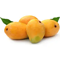Mango Alphonso Per Kg. - Master