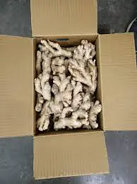 Ginger 5kg box - Master