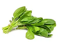 Spinach Per Pkt. - Master