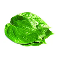Paan Leaves per kg. - Master