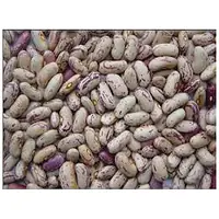 Boniland White Kidney Beans 900g - Master