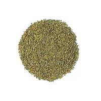 Kaman Bajra seeds 1kg - Master