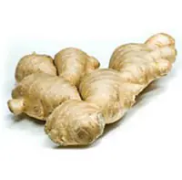Ginger 5kg - Master