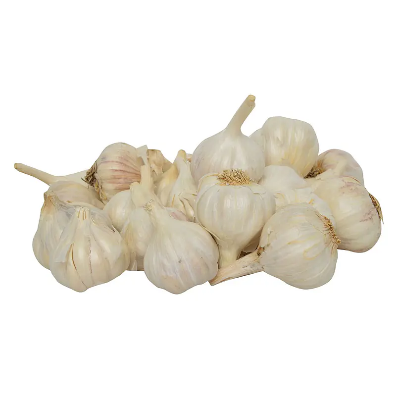 Garlic 250g - Master