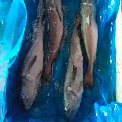 Merluza Per Kg. - Master