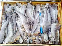 Merluza Per Box 10kg. - Master