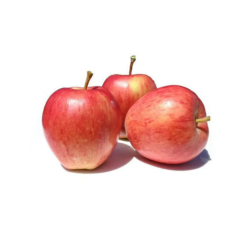 Gala Apple Per kg. - Master