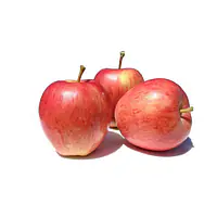 Gala Apple Per kg. - Master